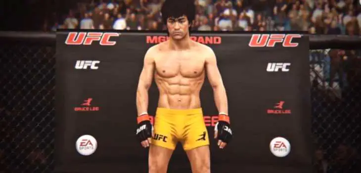 Bruce-Le-UFC-Gameplay