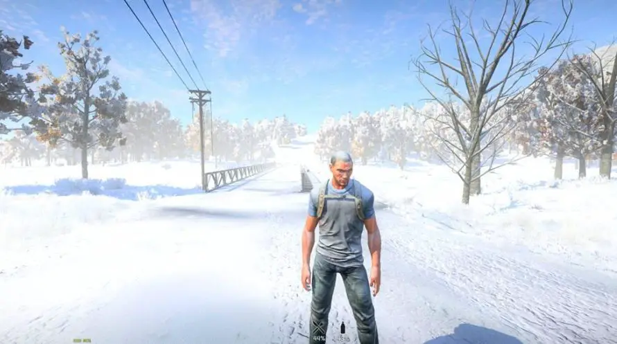 Des screenshots de H1Z1 sous la neige