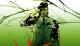 1280524437_Snake_Salute
