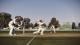 Don Bradman Cricket 14_20141030112219