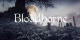 bloodborne