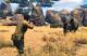 Cabela's African Adventures