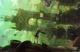 gravity-rush
