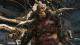 Dragon's Dogma Online