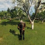 The Witcher 3 screenshot environnement