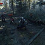 The Witcher 3 screenshot environnement