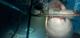 The_Deep_3_1425403550