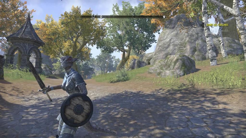 TESO PS4