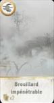 the witcher 3 brouillard