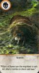 the witcher 3 carte terre brulee