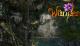 Wander banner