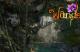 Wander banner
