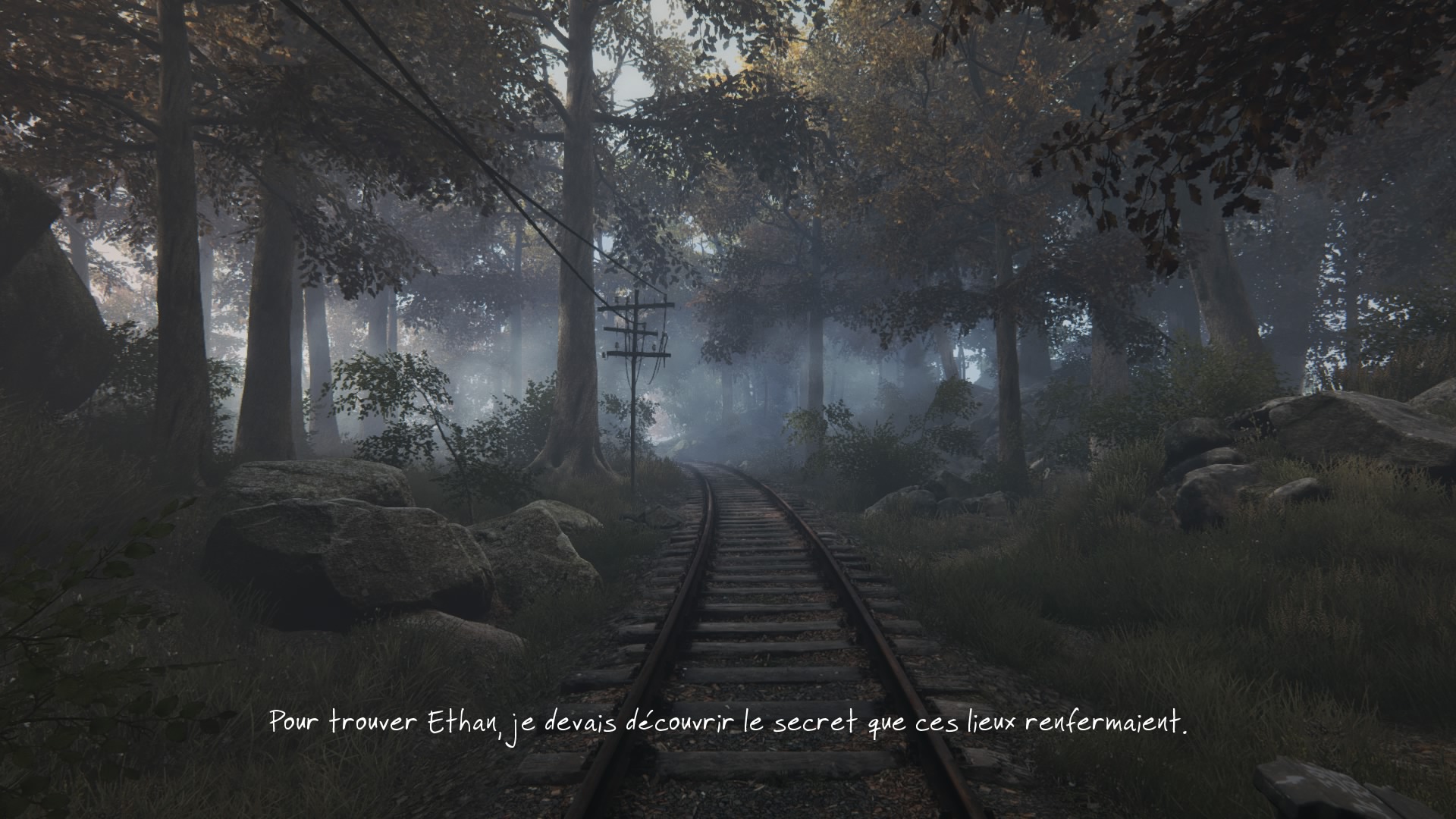 The Vanishing of Ethan Carter_20150716203122