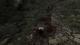 The Vanishing of Ethan Carter_20150716204618