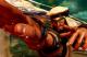 Rashid Street Fighter 5