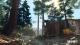Redwood 1