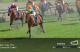 Winning Post 8 2016