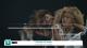 Let's Sing 2016 : Hits Français_20151126150807