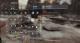 The Division 1