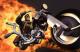 full-throttle-ps4