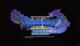 DRAGON QUEST 11 LOGO