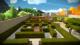 The Witness