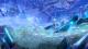 Exist Archive