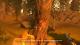 Firewatch