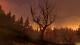 Firewatch