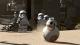 LEGO-Star-Wars-VII-14
