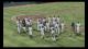 MLB(R) The Show(TM) 16