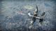 War Thunder