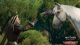 The-Witcher-3-Blood-and-Wine (6)
