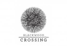 Blackwood Crossing annoncé sur PS4, Xbox One et PC