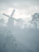 BF1-3