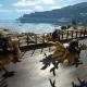 Final Fantasy 15