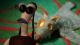 test armikrog