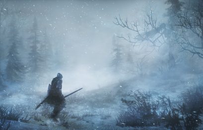 Dark Souls 3 Ashes of Ariandel dévoile son mode PVP