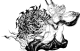 final fantasy dimensions 2 personnage logo