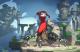 Hob artwork