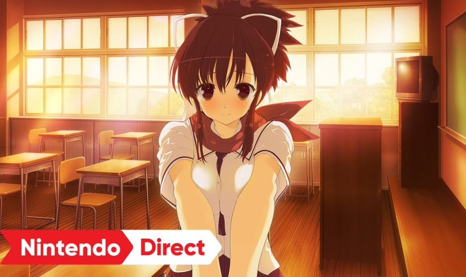 Shinobi Refle: Senran Kagura annoncé sur Nintendo Switch