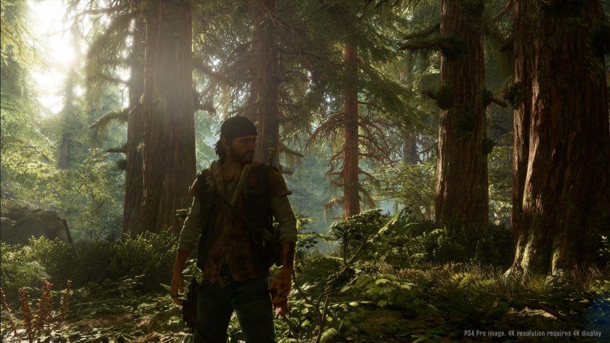 Days Gone s’offre des visuels éblouissants