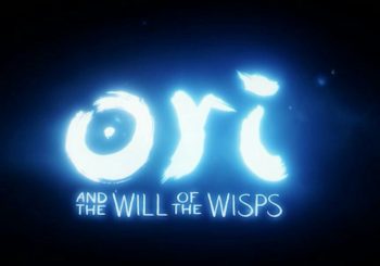 Ori and the Will of the Wisps fuite avant l'heure