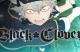 Black Clover hero