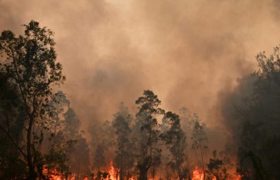 Ubisoft, Bungie et Infinity Ward s’engagent à récupérer des fonds pour soutenir l’Australie contre les incendies