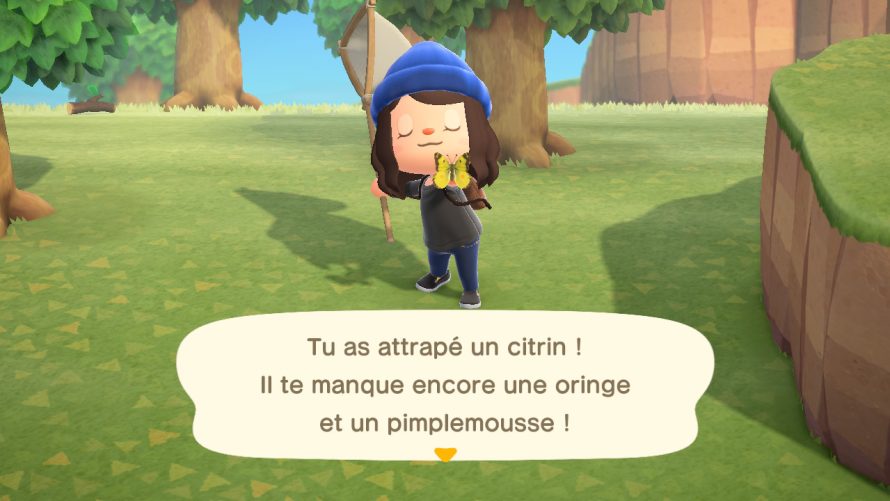 GUIDE | Animal Crossing: New Horizons – Les insectes les plus rares, leur prix de vente et localisation