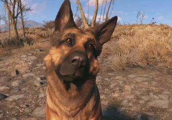Fallout 76 : Prochainement des animaux en guise de compagnons ?