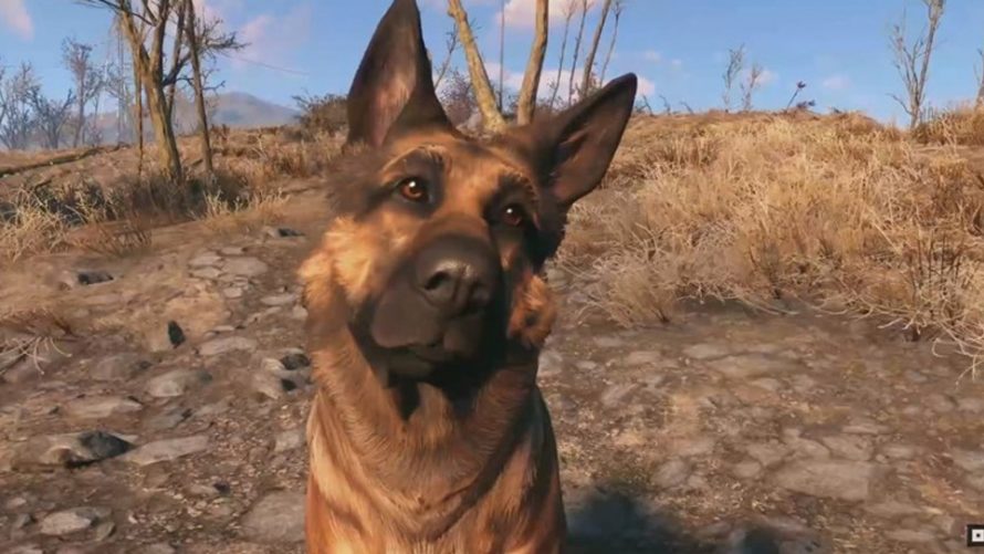 Fallout 76 : Prochainement des animaux en guise de compagnons ?