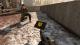 Warzone_Contrat_Reconnaissance