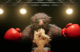 Présentation de Felt That: Boxing au Summer Game Fest 2025